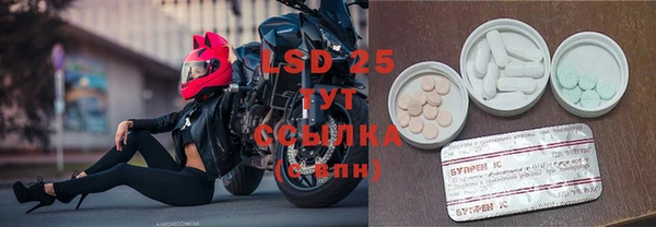 spice Новодвинск