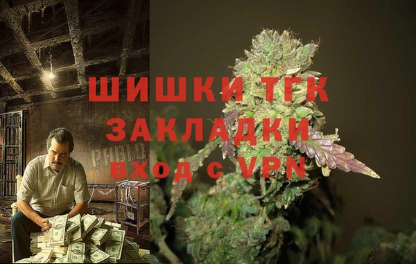 spice Новодвинск