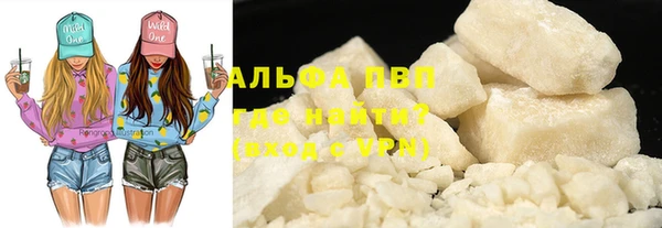 spice Новодвинск