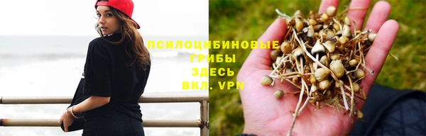 экстази Новозыбков