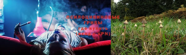 spice Новодвинск