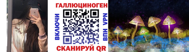 Псилоцибиновые грибы GOLDEN TEACHER Покачи